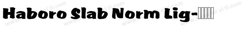 Haboro Slab Norm Lig字体转换